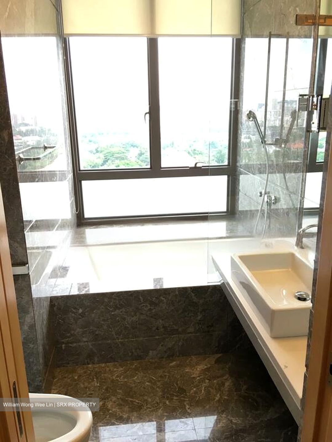 Parkview Eclat (D10), Condominium #479955301